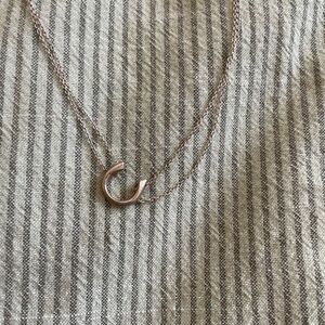 Adina Reyter Sterling Silver Double Chain Horseshoe Necklace